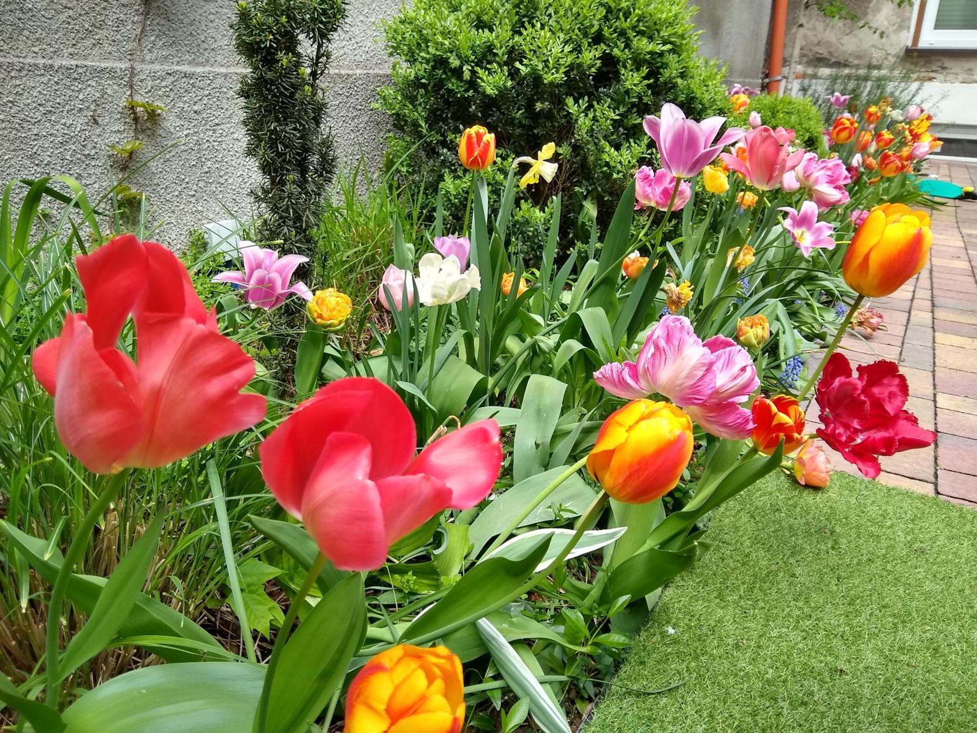 Poezja Lublin Exterior foto